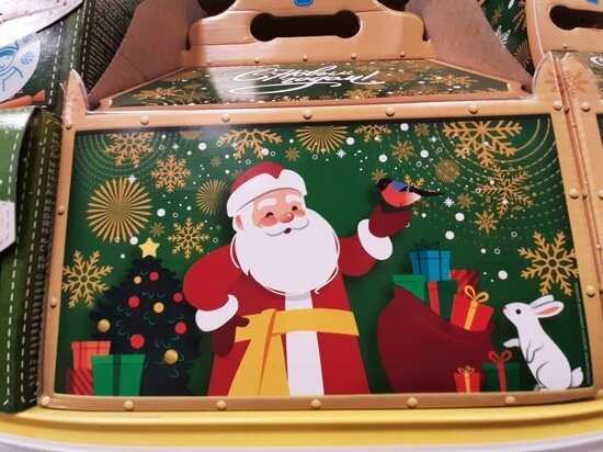     Фото: Анна Ковалева / "МК в Томске"