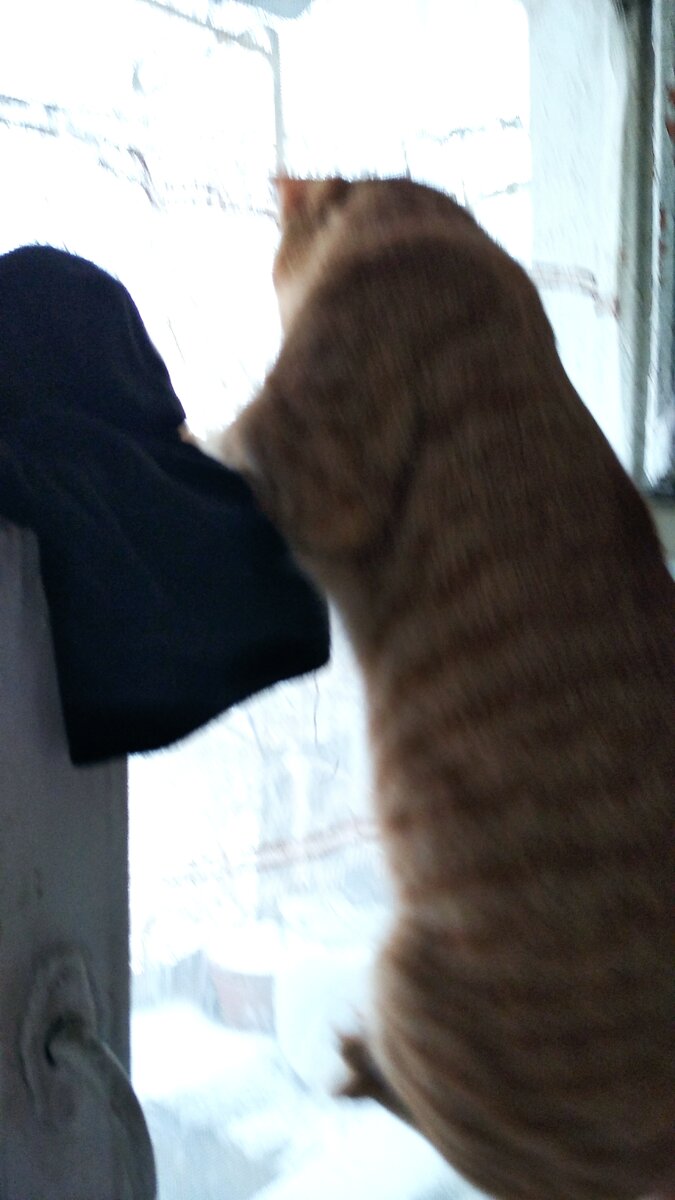 Личное  фото.