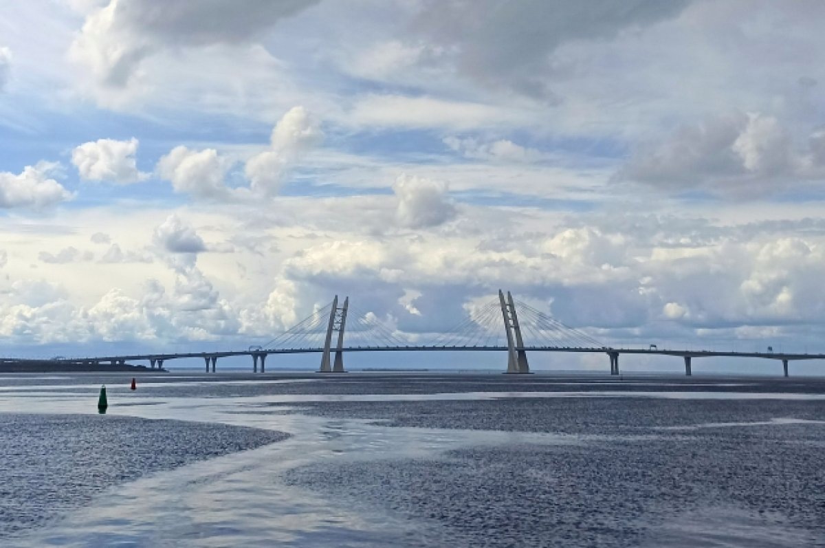    Петербургский водоканал сливал загрязненные стоки в залив