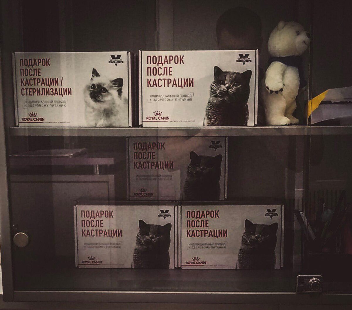 Забавная коробочка из ветеринарной клиники