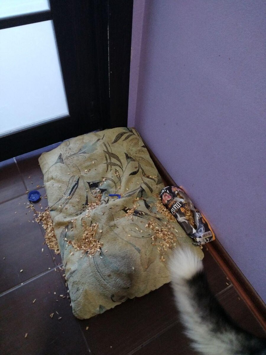 Нет. Щепа для копчения все же вкуснее