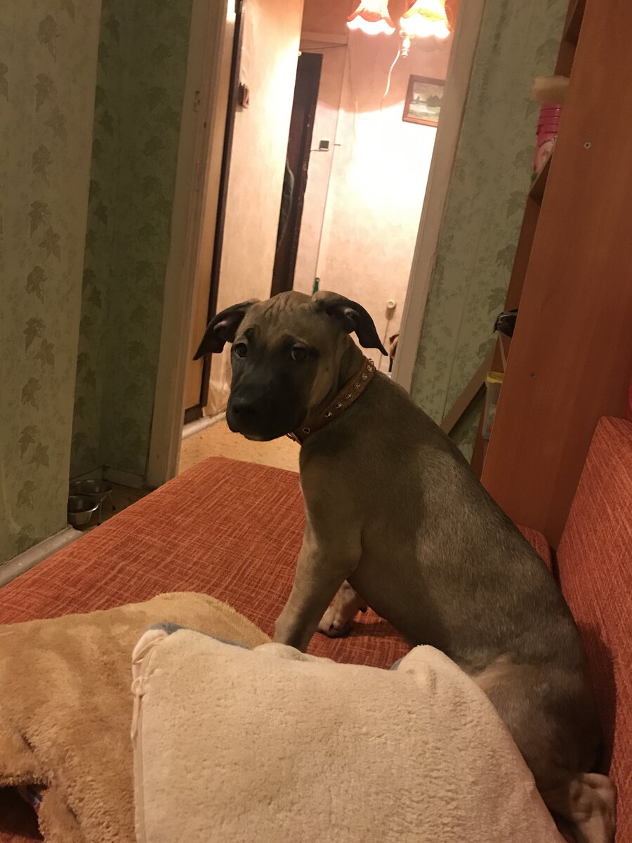 С такими глазами обычно она ждёт еду.