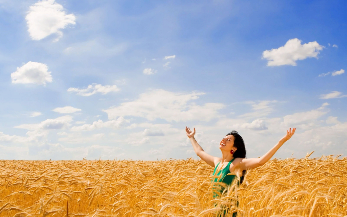 Фото взято из интернета