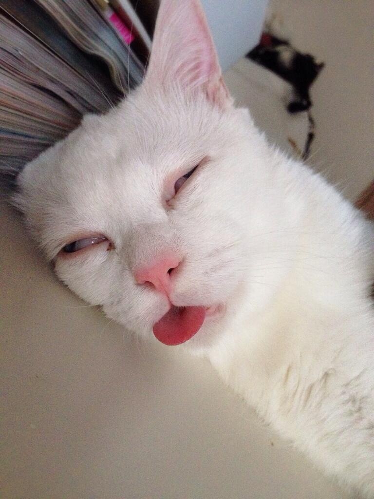 Каккие нарКотики?