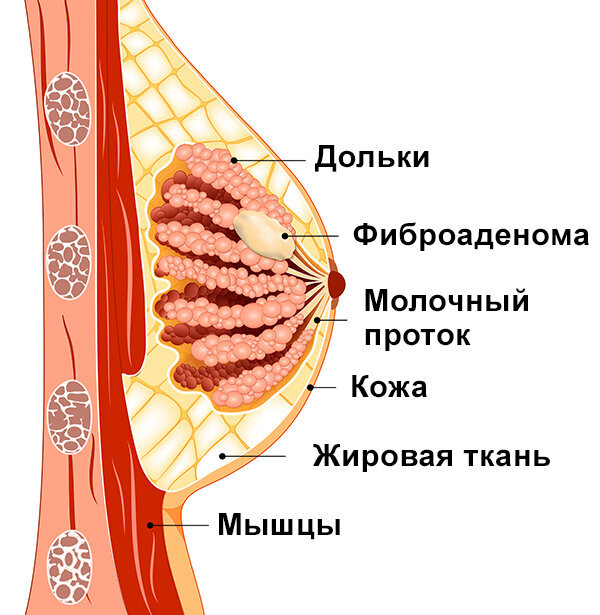 Яндекс