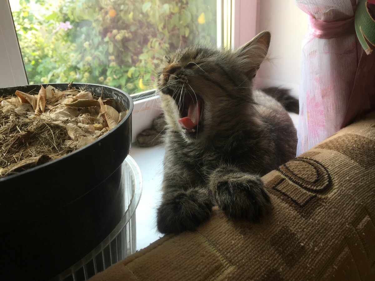 Пока место освободилось