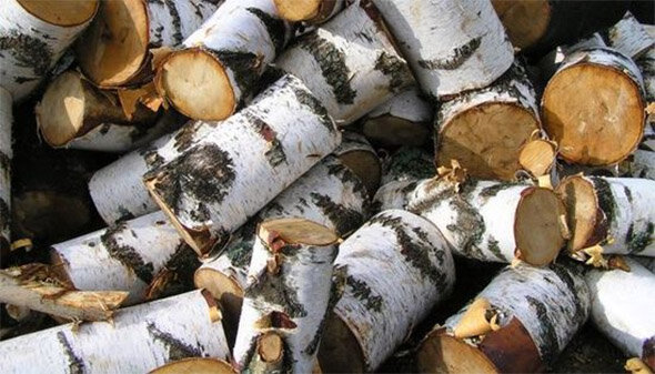 Березовые дрова - лучший выбор в категории цена-качество. Фото сайта privatecottage.ru