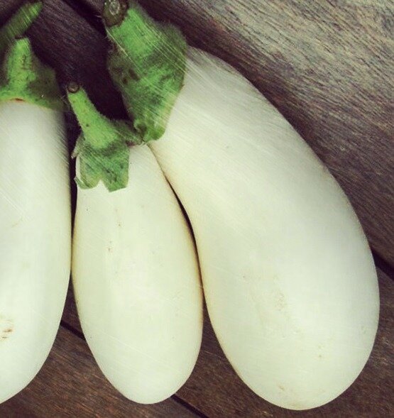 Белые баклажаны