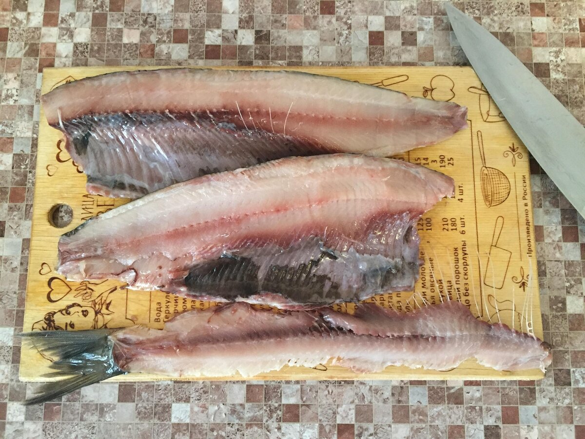 Чир рыба Индигирка