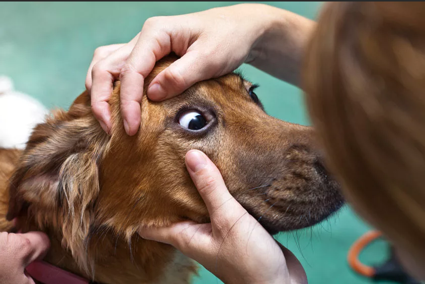 3. Физическая активность