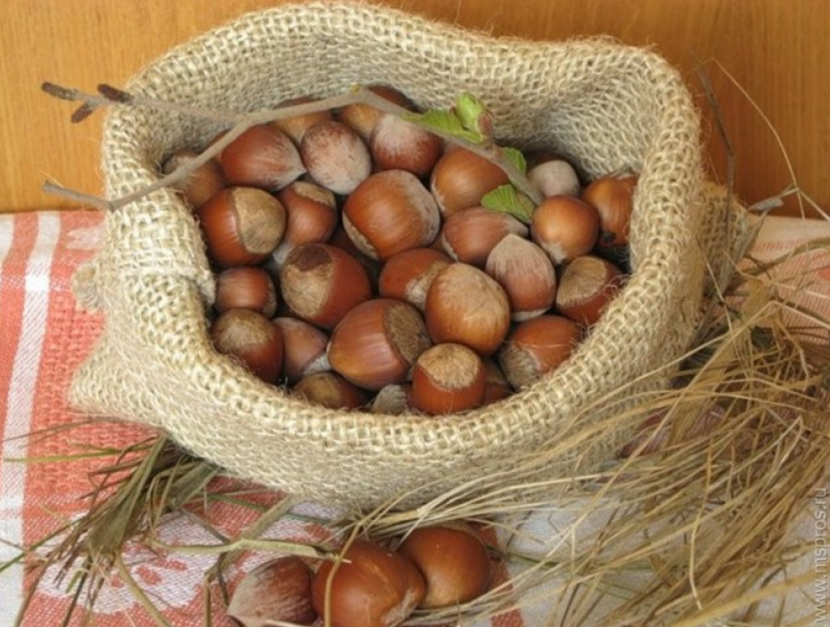 Источник: Яндекс