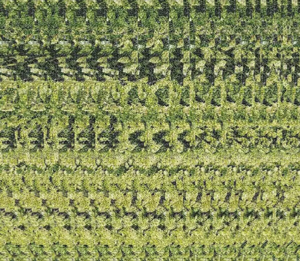 Здесь прячется лось