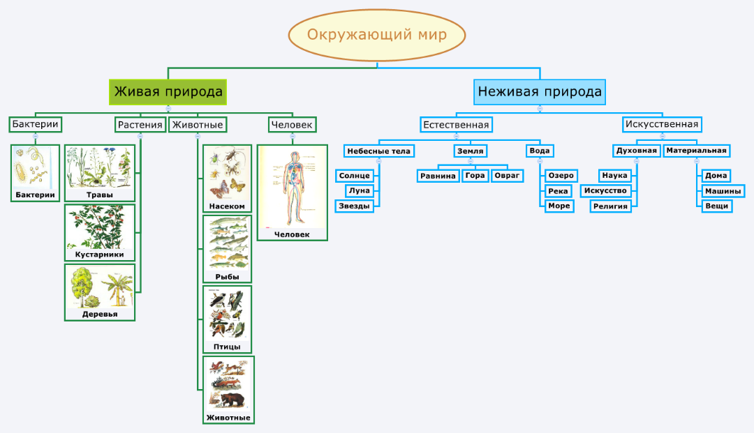 Таблица окружающий