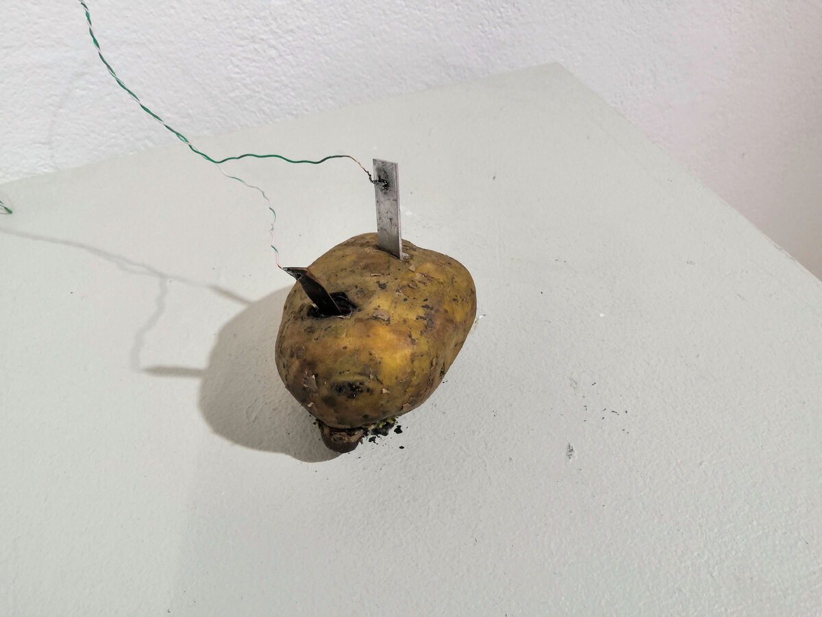 Арт-группа NoNeue - "PotatoXpotato", 2019 г. Выставка "Творческий метод" в Электромузее, Москва.