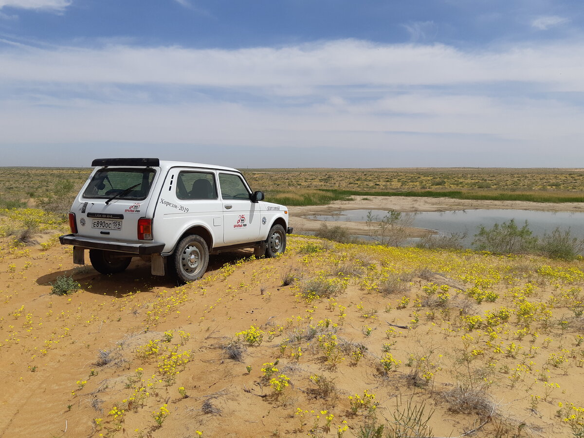 Каракум в начале мая