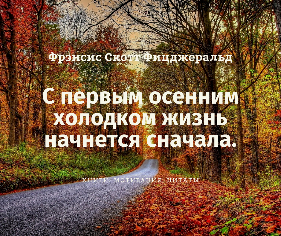 Заново началась. С первым осенним холодком жизнь. Цитата. Цитаты про осень. Афоризмы осенние.