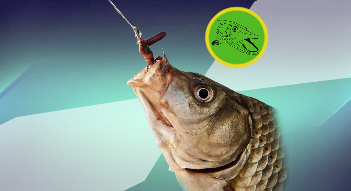 Ставьте  лайк и подписывайтесь на канал! Вы поможете развитию канала!