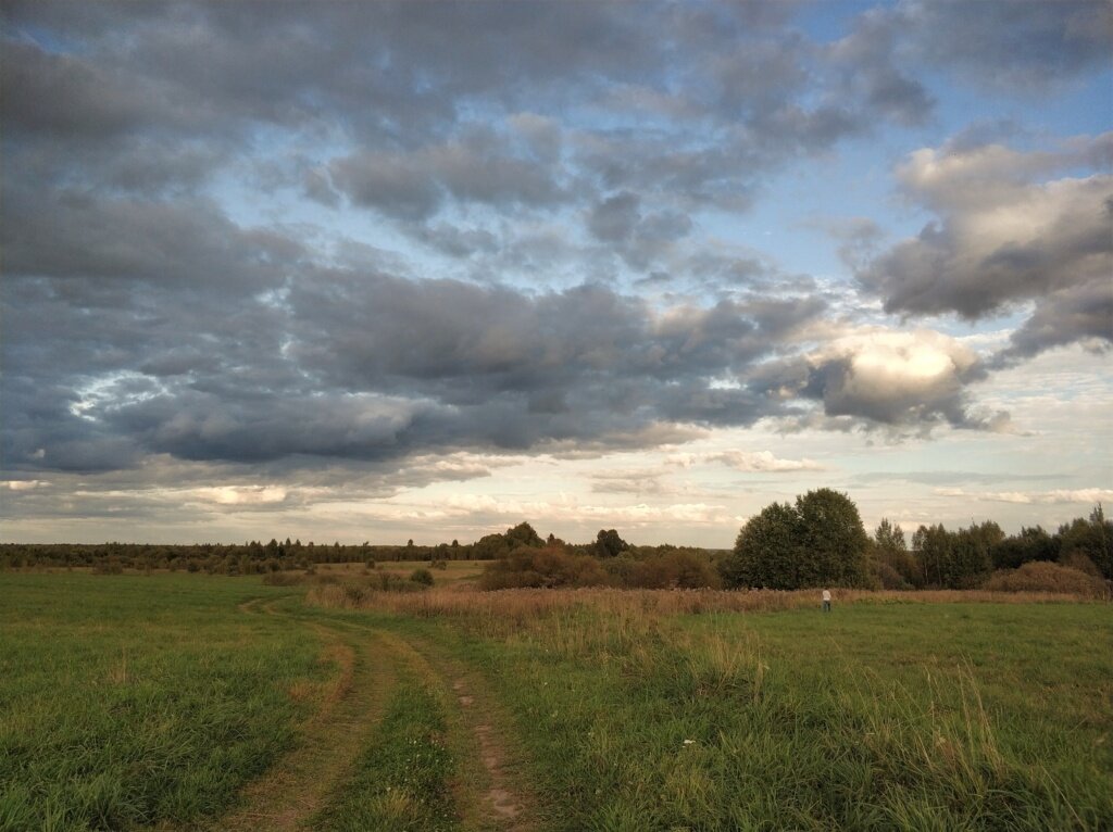 Просторы в окрестностях биостанции…