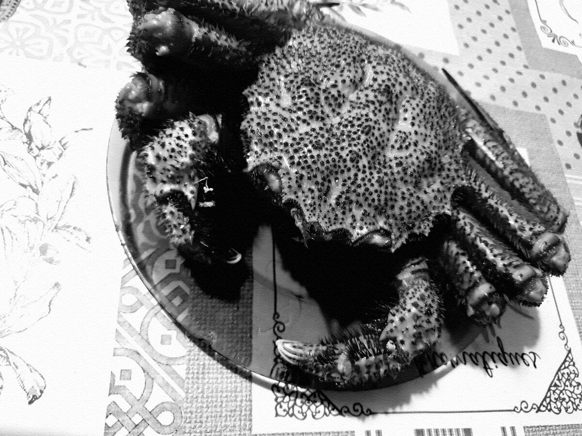 Краб "волосатик" на тарелке