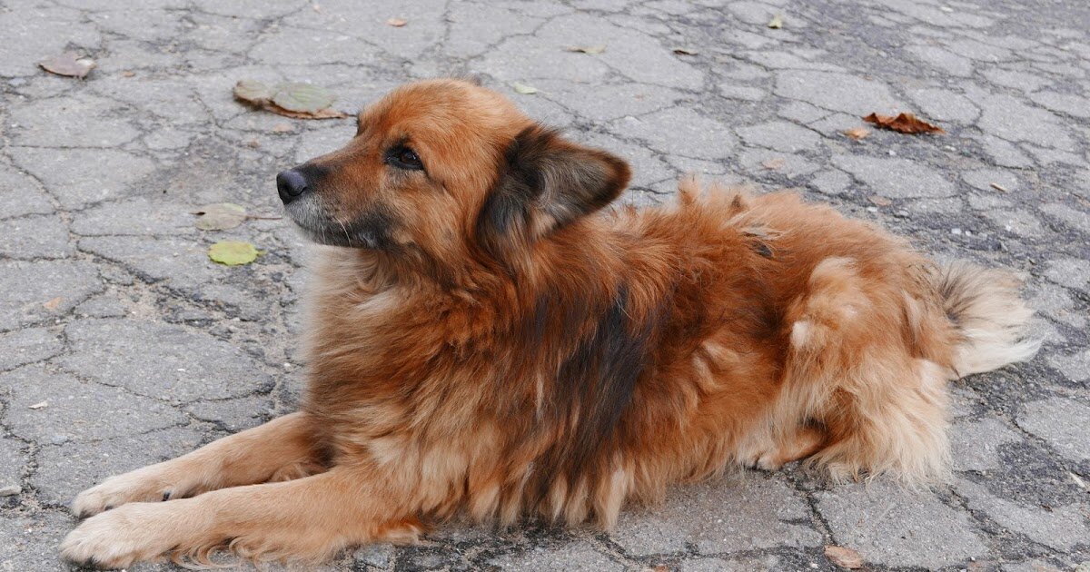 Картинка с просторов интернета. 