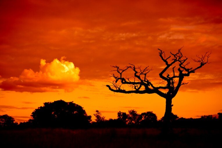 Источник misterposter.ru