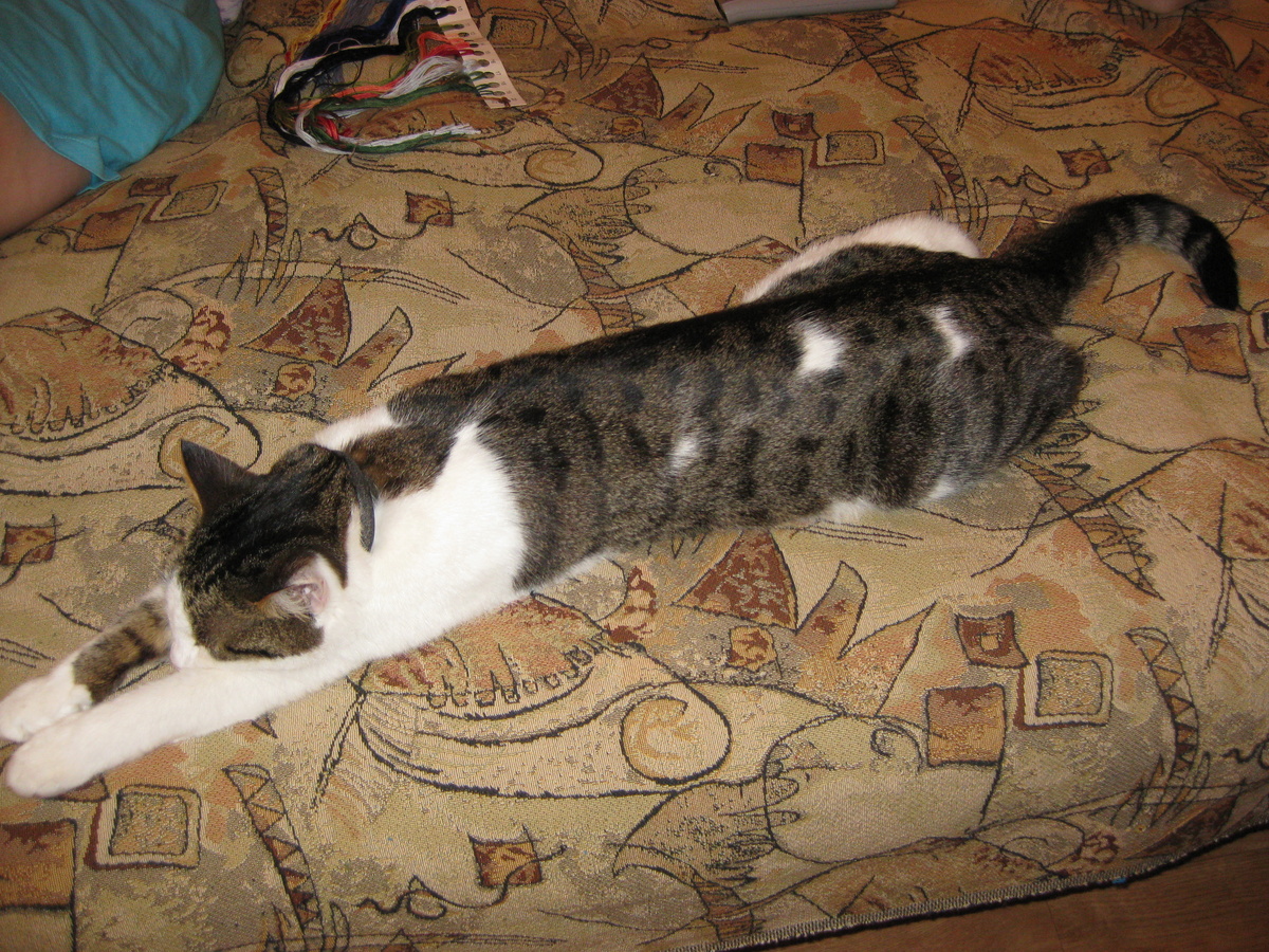 Вот оно пятнышко.