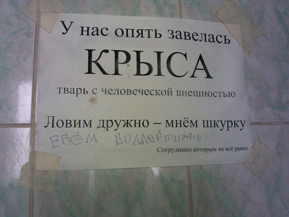 Яндекс картинки