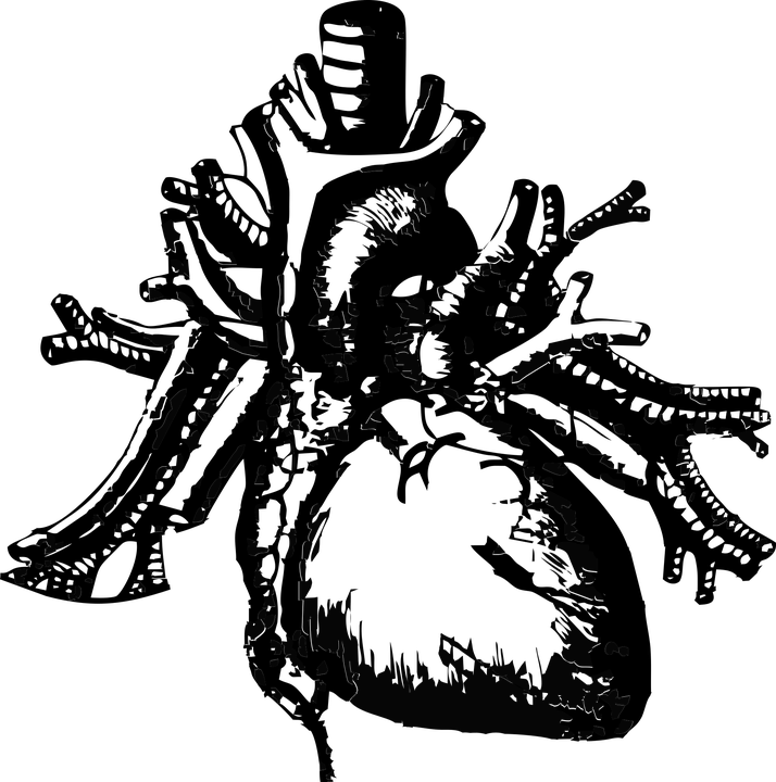 https://cdn.pixabay.com/photo/2017/10/12/21/51/heart-2846113_960_720.png