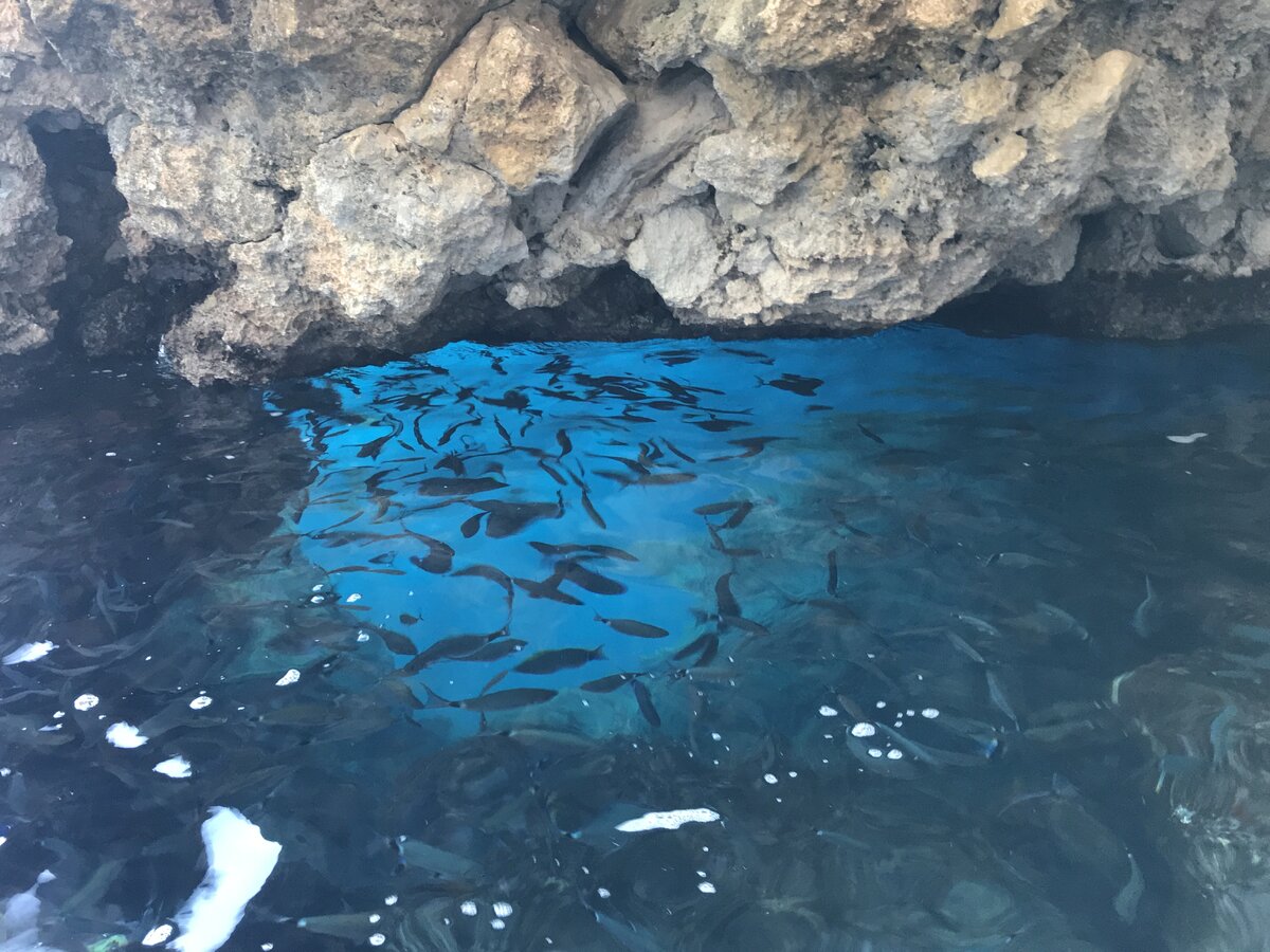 Грот "Синий глаз" в Палеокастрице