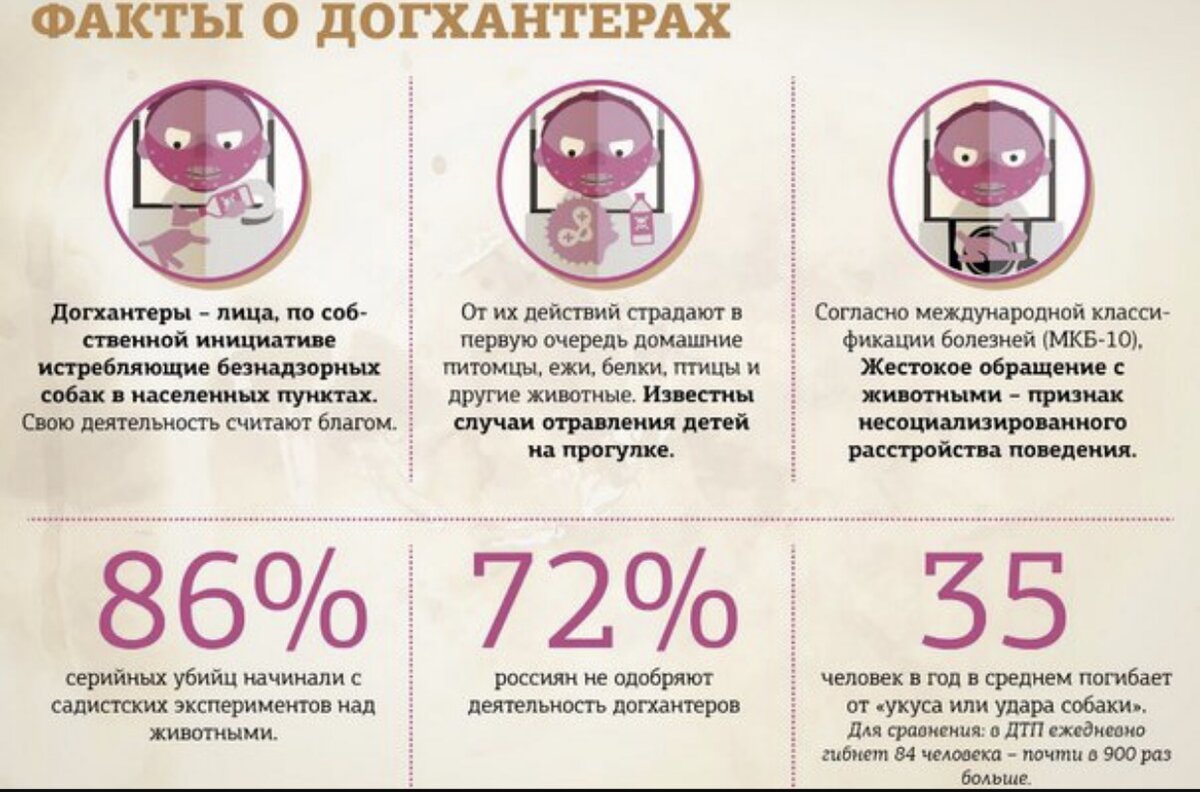 Как выглядит яд для собак Догхантеры отравили мою собаку! Светлая головушка Дзен