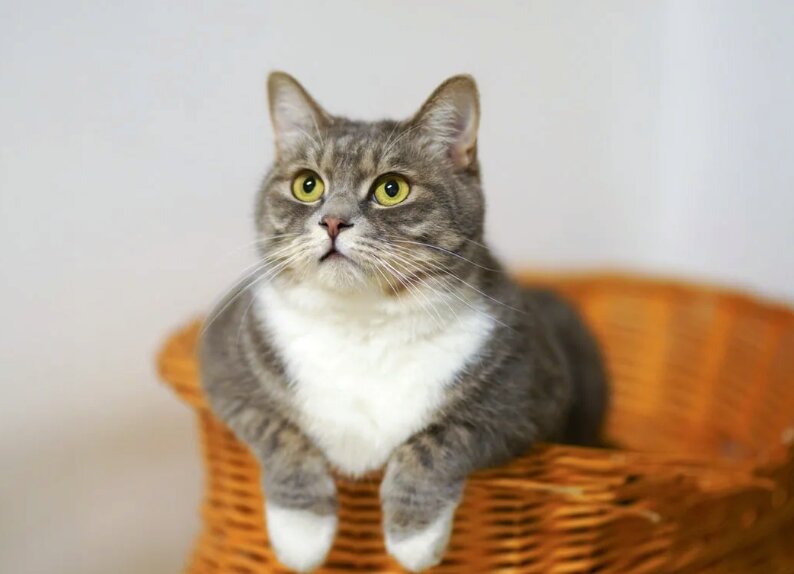 Путешествия, я русский итальянец, фото взято из свободных источников