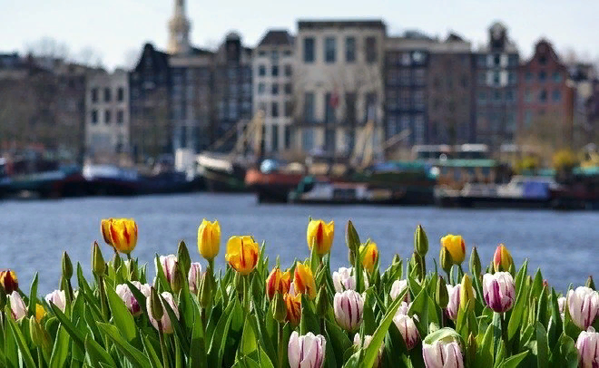  Фото: pixabay.com