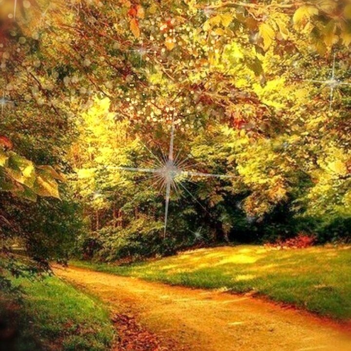 ⠀
Теперь вы знаете какой у вас тип кожи.  А значит мы должны всё расставить по местам.⠀
⠀
ЖИРНАЯ И КОМБИНИРОВАННАЯ КОЖА⠀ ⠀
✅Используйте ГЕЛЬ и пенки для умывания.⠀
✅Именно гель исключает в составе масла и жиры.
В уходе за жирной и комбинированной кожей пользы они не принесут.⠀
✅Зато, наличие кислот (гликолевой, молочной, салициловой) в составе, окажет мягкое противовоспалительное и отшелушивание.⠀
📌Первое средство – с ОДНИМ жестким ПАВ и от 2 до 4 мягких ПАВа в составе.⠀
📌Второе средство – только МЯГКИЕ ПАВы, в количестве от 3 до 7.⠀
⠀
СУХАЯ, ЧУВСТВИТЕЛЬНАЯ, ЗРЕЛАЯ КОЖА⠀
⠀
✅Используем ПЕНКУ для умывания.
В ней, чаще всего, можно встретить дополнительные компоненты питающие и ухаживающие за чувствительной кожей.⠀
✅В частности, натуральные масла, гиалуроновую кислоту, мочевину и другие увлажняющие компоненты.⠀⠀
📌Первое средство – УВЛАЖНЯЮЩЕЕ с мягкими ПАВ.
Ищите в составе гиалуроновую кислоту.⠀
📌Второе средство – ОЧИЩАЮЩЕ только МЯГКИЕ ПАВ в составе.⠀
⠀
НОРМАЛЬНАЯ КОЖА⠀
⠀
✅Счастливчики, для вас подойдёт любой тип средств для умывания, главное условие - без агрессивных компонентов (жёстких ПАВ) в составе.⠀
📌Первое средство – УВЛАЖНЯЮЩЕЕ с мягкими ПАВ.
Ищите в составе гиалуроновую кислоту и мочевину.⠀
📌Второе средство – ОЧИЩАЮЩЕЕ только МЯГКИЕ ПАВ в составе.⠀ Список ЖЕСТКИХ ПАВ:⠀
📌SLS - Лаурил сульфат натрия (Sodium lauryl sulfate)⠀
📌SLES - Лаурет сульфат натрия (Sodium laureth sulfate)⠀
📌SMSМирет сульфат натрия (Sodium Myreth Sulfate)⠀
ОДИН ПАВ в составе разрешен, если кожа жирная или комбинированная.⠀
⠀
Мягкие ПАВы:⠀
📌Коко-бетаин - Coco-Betaine, полное название Cocamidopropyl betaine⠀
📌Кокамидопропилбетаин - Cocamidopropyl Betaine⠀
📌Коко глюкозид - Coco Glucoside⠀📌Каприл глюкозид - Caprylyl / capryl glucoside⠀
📌Кокоат натрия - Sodium Cocoate⠀
📌Натрия кокоамфоацетат - Sodium Cocoamphoacetate
📌Лаурил глюкозид - Lauryl glucoside ☝🏻 Список не полный. Гуглите!⠀
⠀
#косметика #косметология #косметос #комбинированная #комбинированная_кожа #сухая_кожа #сухая #жирная #жирная_кожа #нормальная_кожа #нормальная #обезвоженная_кожа #обезвоженность #зрелая_кожа #чувствительная_кожа #чувствительнаякожа #чувствительная #умывашки #пенки