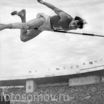 источник: http://fotosomov.ru/thumb/2/YLpYPc6DaM53nkuEpf5v2A/814r461/d/0095.jpg