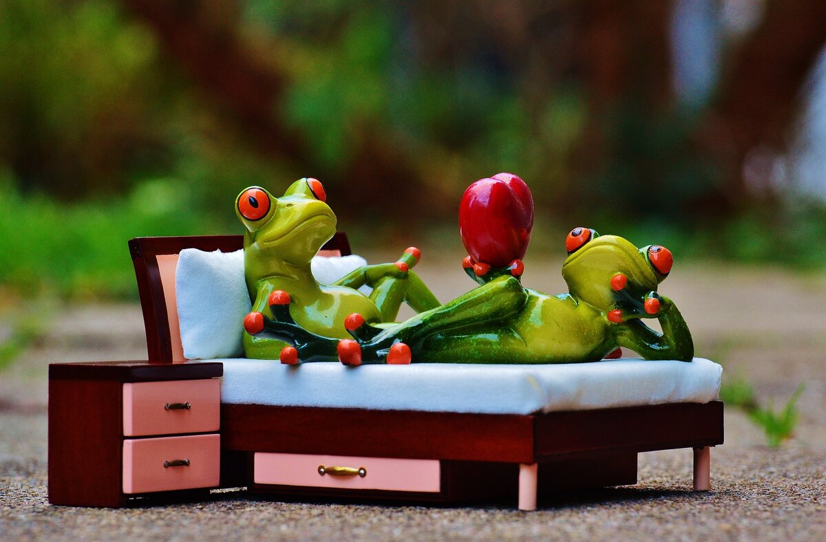 https://pixabay.com/ru/photos/%D0%BB%D1%8F%D0%B3%D1%83%D1%88%D0%BA%D0%B0-%D0%BB%D1%8E%D0%B1%D0%BE%D0%B2%D1%8C-%D0%BA%D1%80%D0%BE%D0%B2%D0%B0%D1%82%D0%B8-1073356/