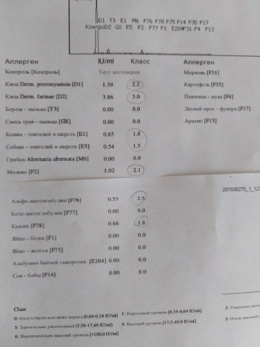 Панель аллергенов