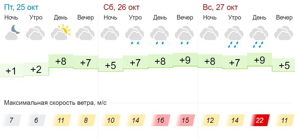 Гисметео брянск на день