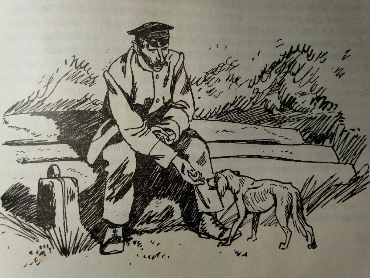 паустовский, м. пришвин двойной след. паустовский дружище тобик. паустовский дружище. дружище тобик книга.