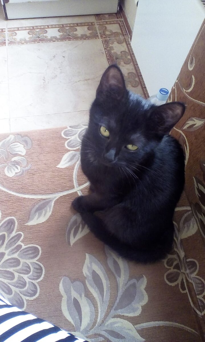 фото из личного архива