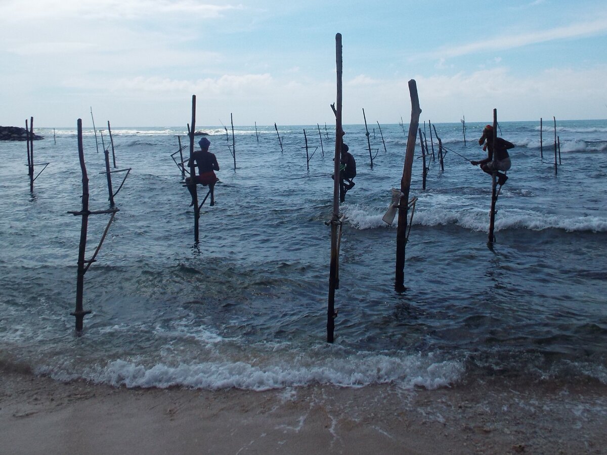 Ловля рыбы на шестах