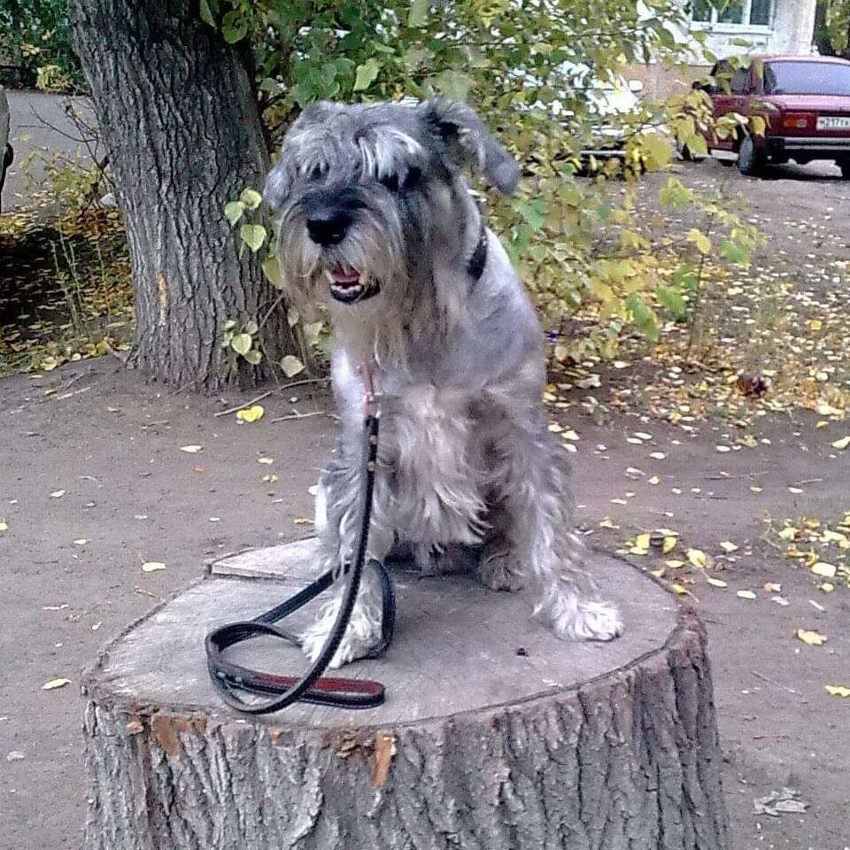 Из личного архива