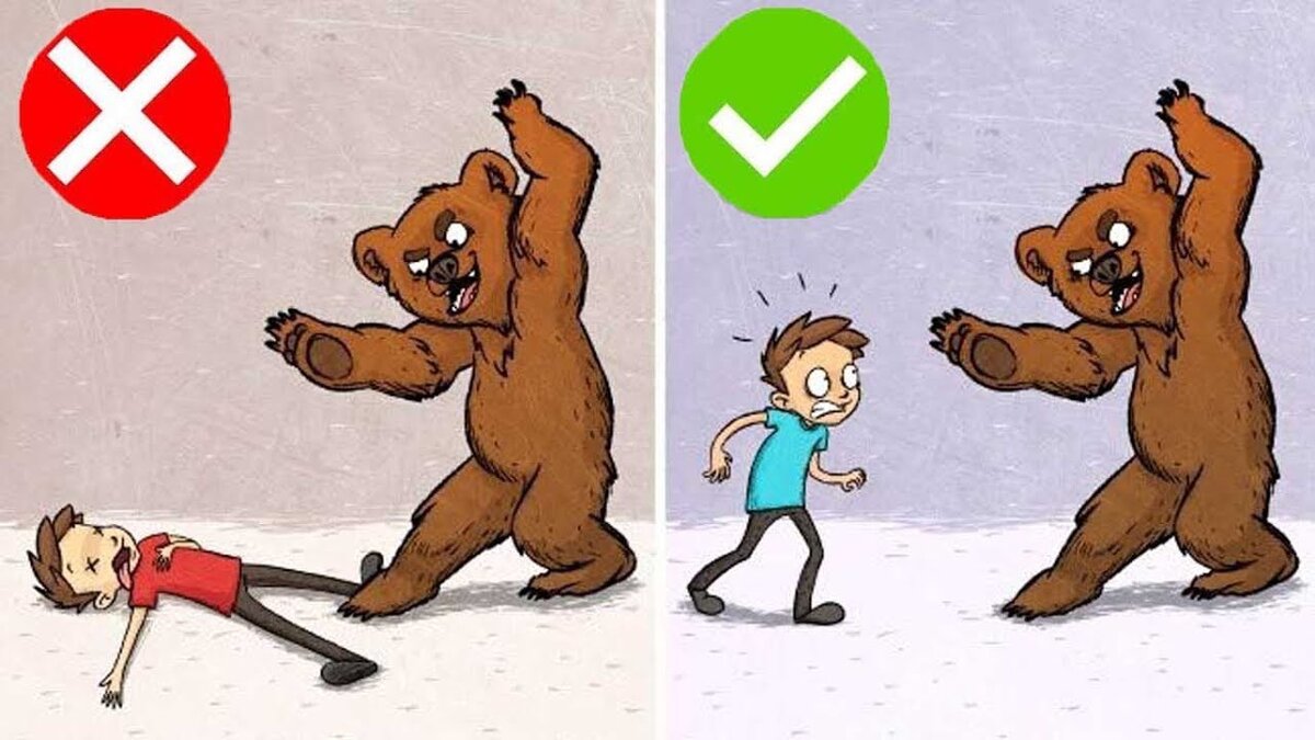 Изображение из открытых источников