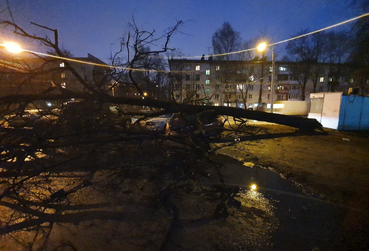 Сегодня, 10:17