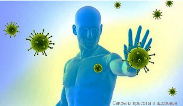 Источник: Гугл Картинки