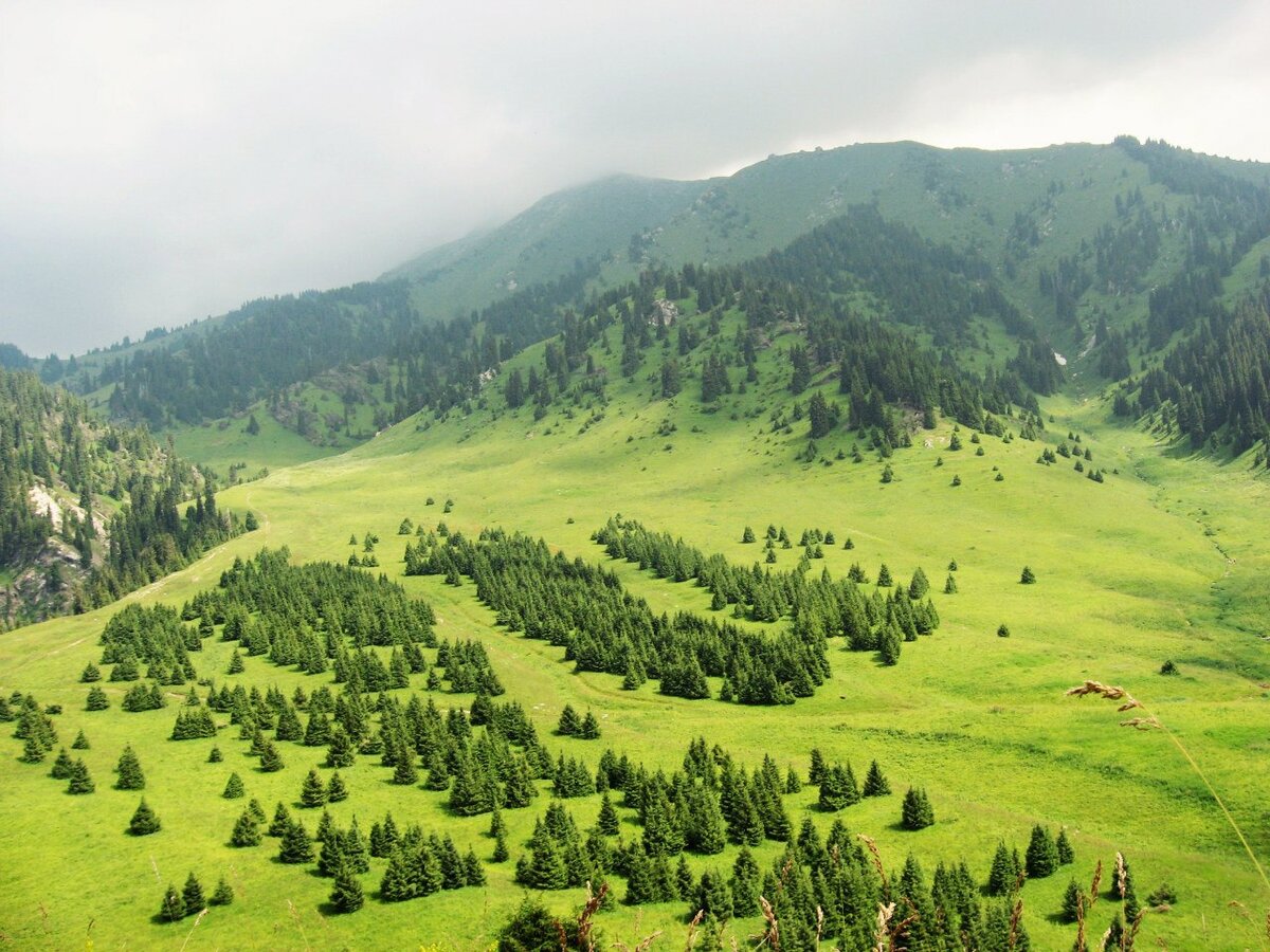 Вид на Кок-Жайляу с северной стороны. Фото автора