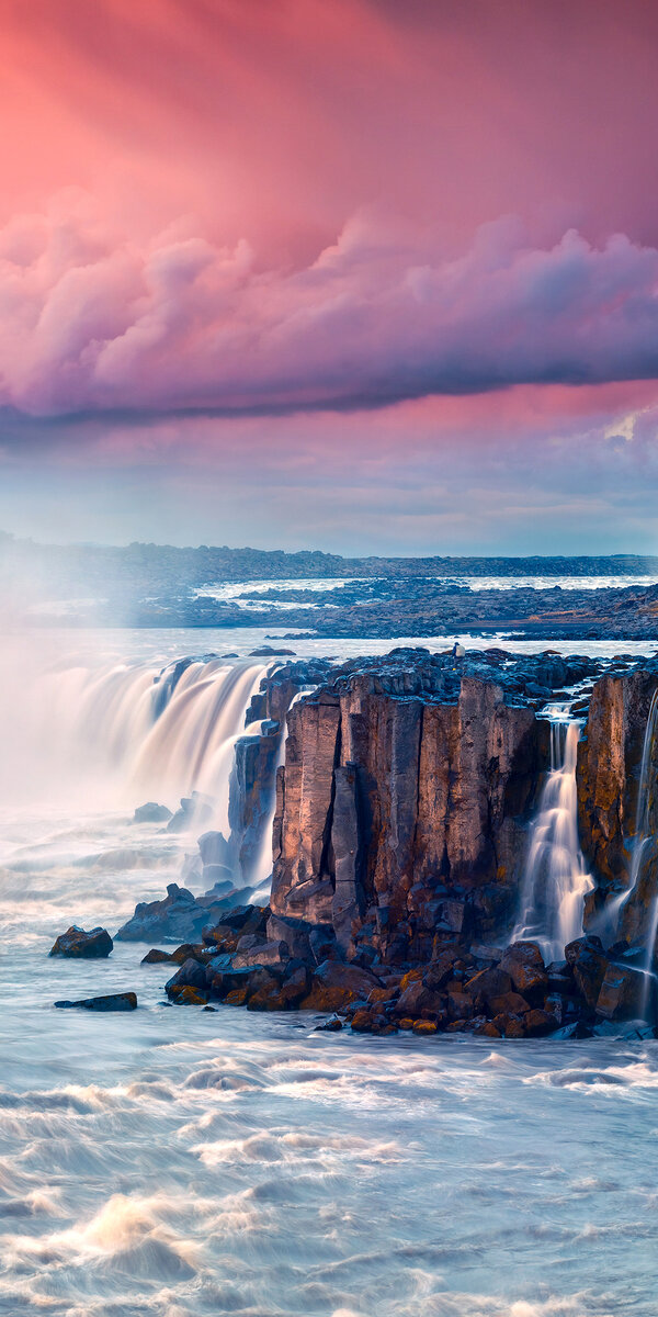 Фотография взята из интернета. 