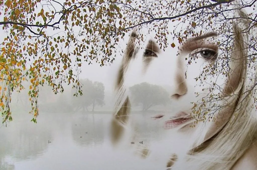 фото из интернета