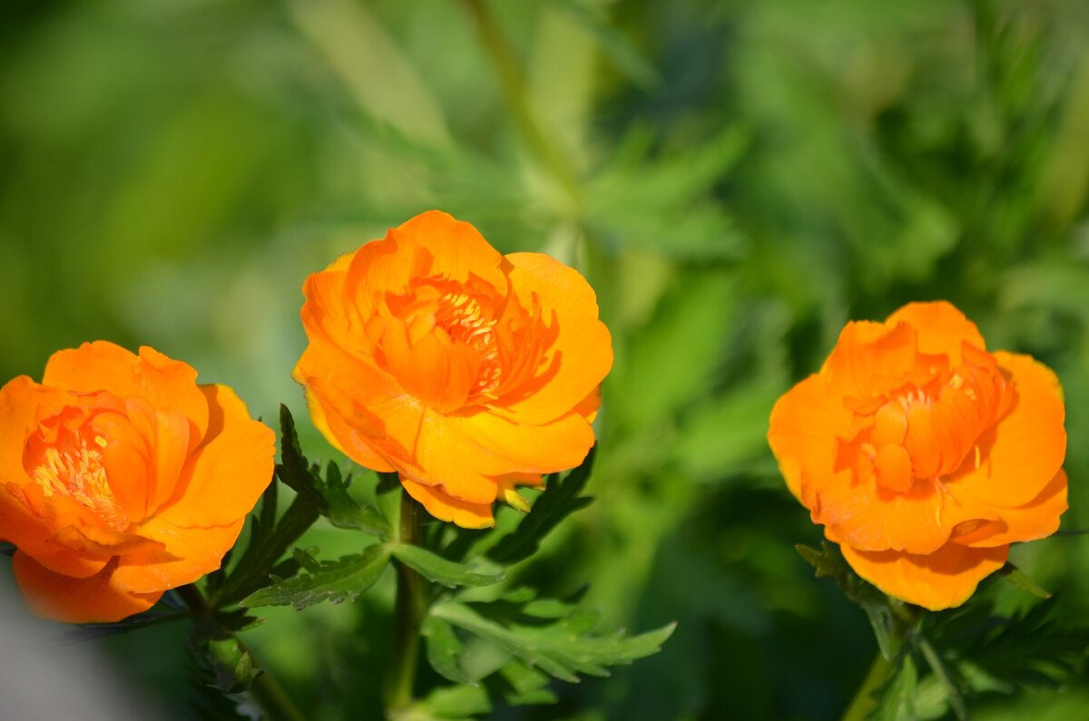 Буду благодарна, если подпишитесь на канал и поставите лайк. Так вы поможете развитию канала.