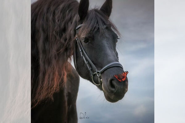 Источник фото сервис Яндекс.Картинки