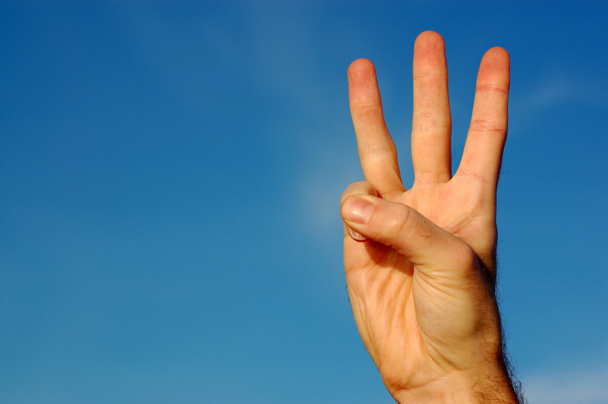 Фото из открытого источника